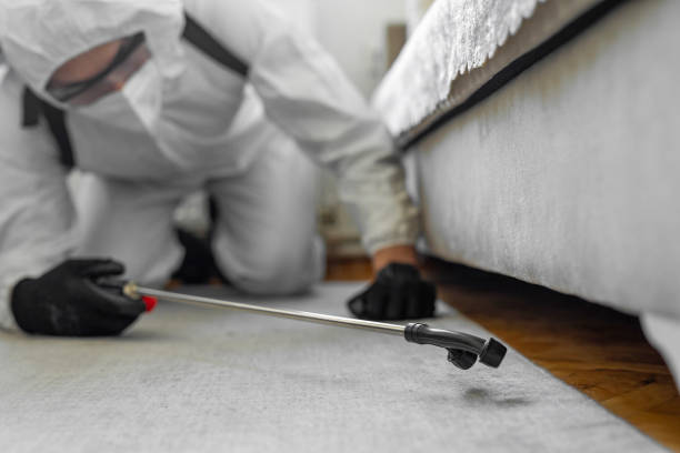 Professional Termite Control technician working in Arial, SC