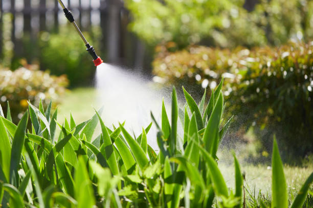 24/7 Emergency Termite Control experts in Arial, SC