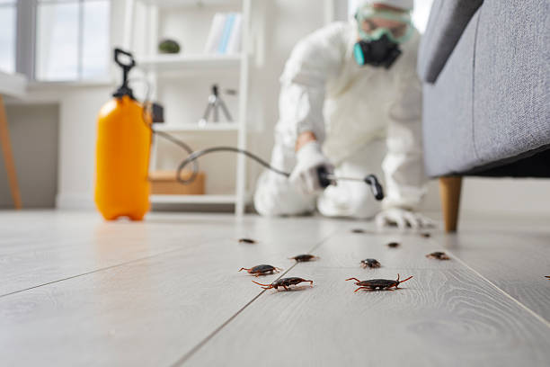 Affordable Termite Control solutions in Arial, SC